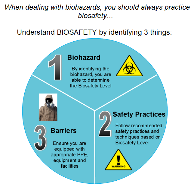 Biosafety 101: Are you SAFE?