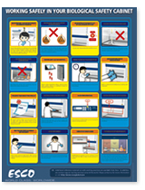 Working Safely In Your Biological Safety Cabinet Poster
