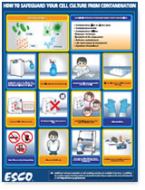 Working Safely In Your Biological Safety Cabinet