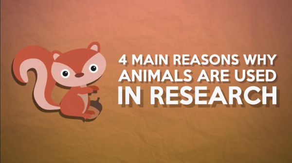 Why animals are used in research?
